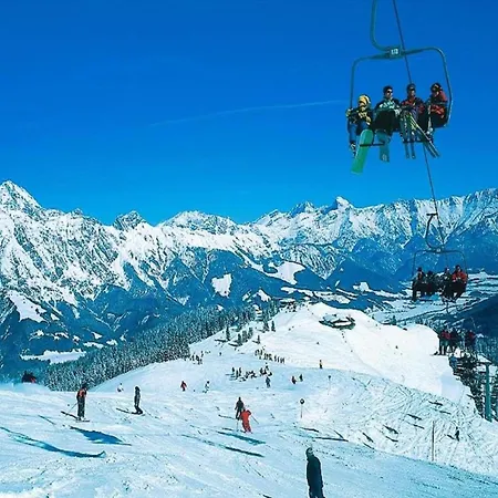 Schnurr-bartl With Panoramic View Apartment Saalfelden