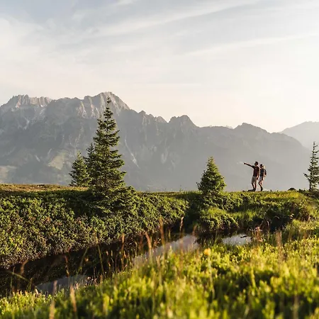 In Near Slopes 萨菲登安斯泰内嫩米尔